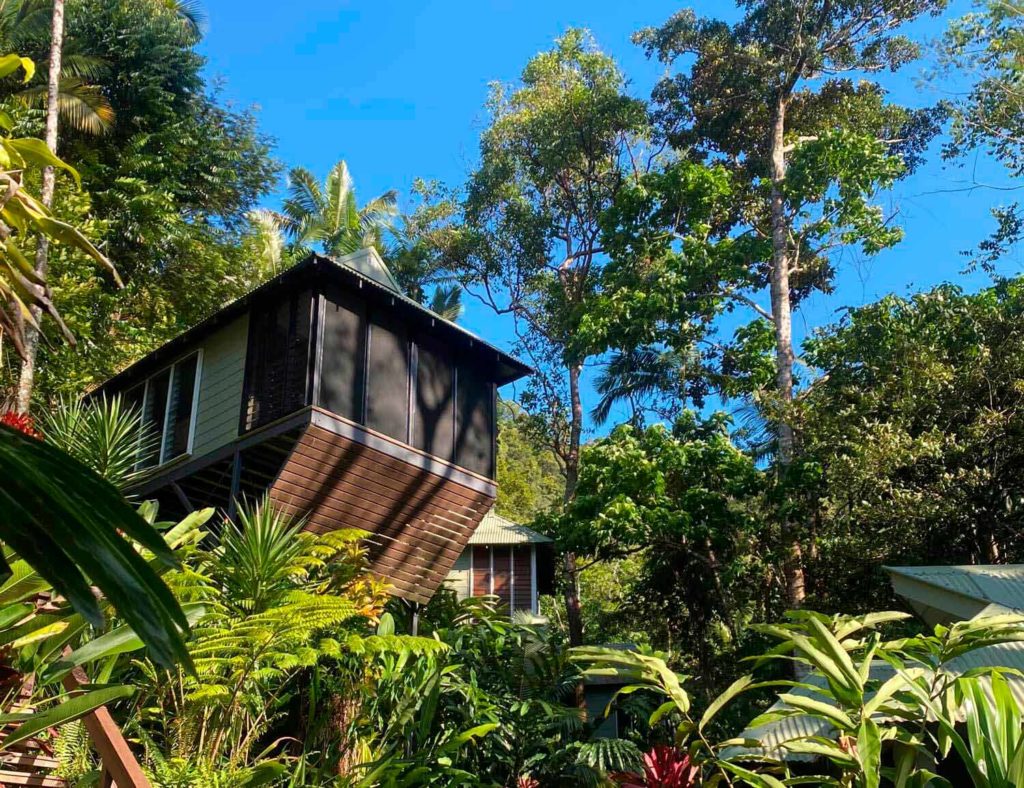 Daintree Ecolodge