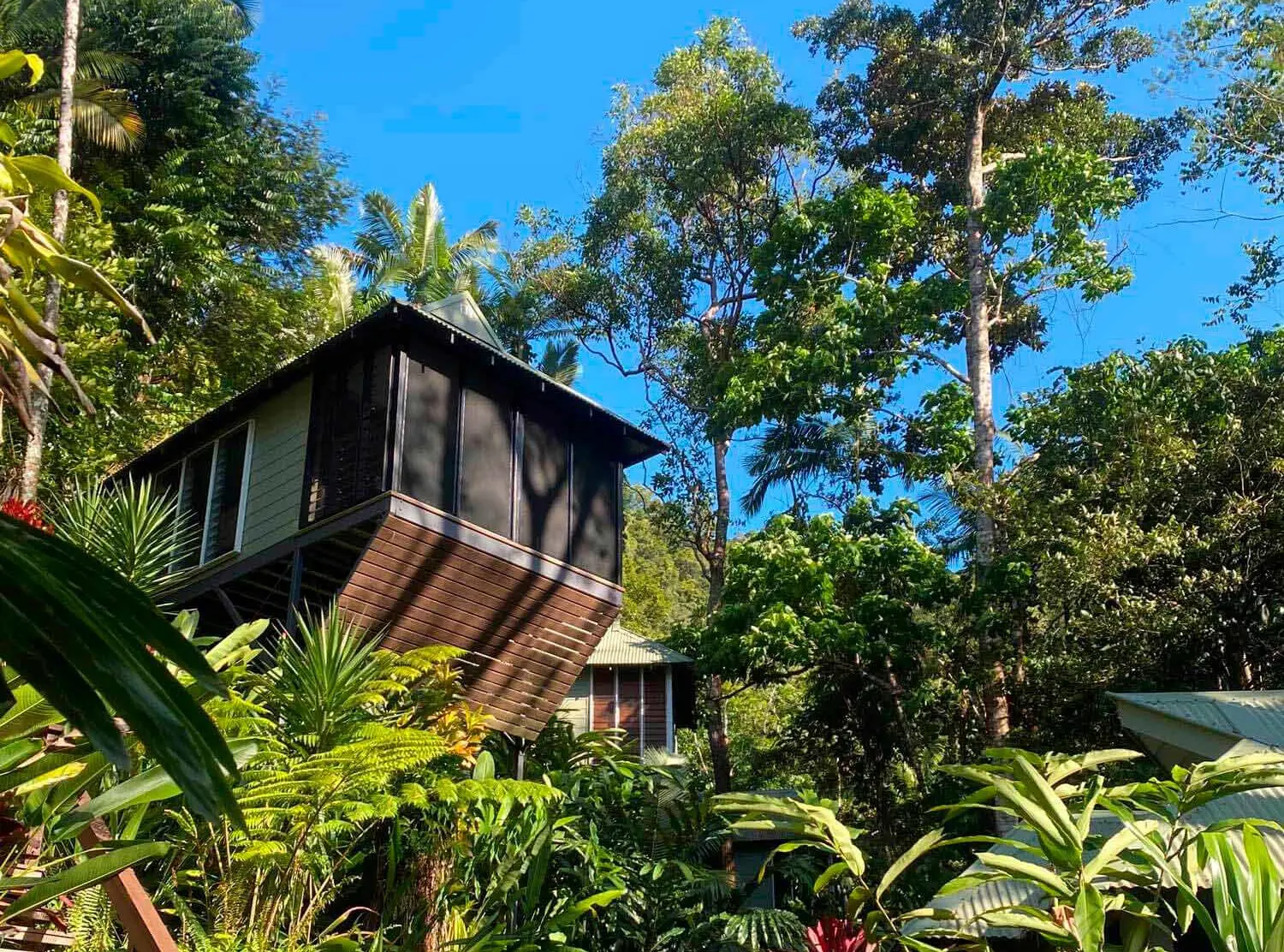 Daintree Ecolodge Who haven't ever dreamt of staying in a treehouse like this? Especially if it is a carbon neutral property with Greenfleet offsetting, meaning all carbon emissions are compensated for by funding native reforestation projects. All materials are recycled where possible and they are constantly exploring ways to improve on this. 