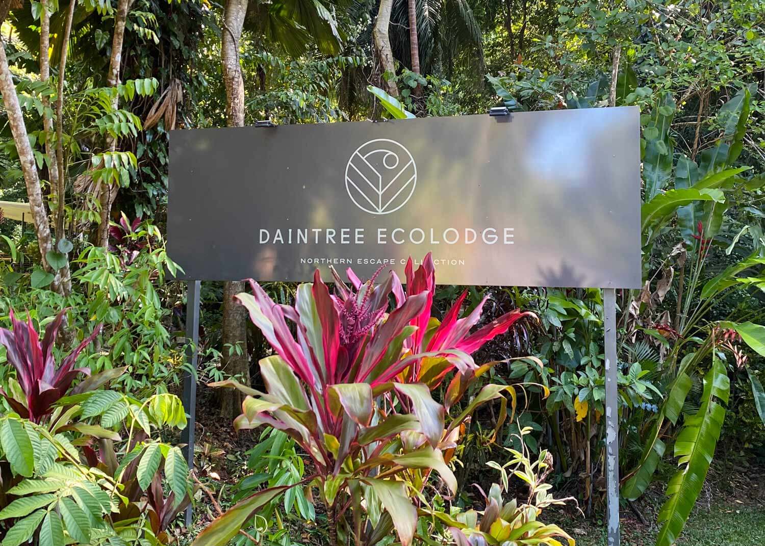 Daintree Ecolodge Welcome to Daintree Ecolodge!