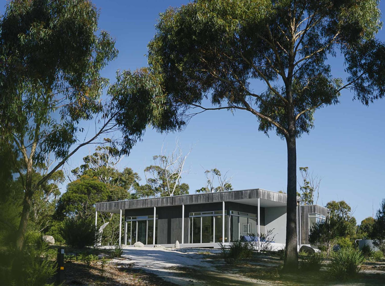 Aplite House Aplite House in all its glory under the gumtrees