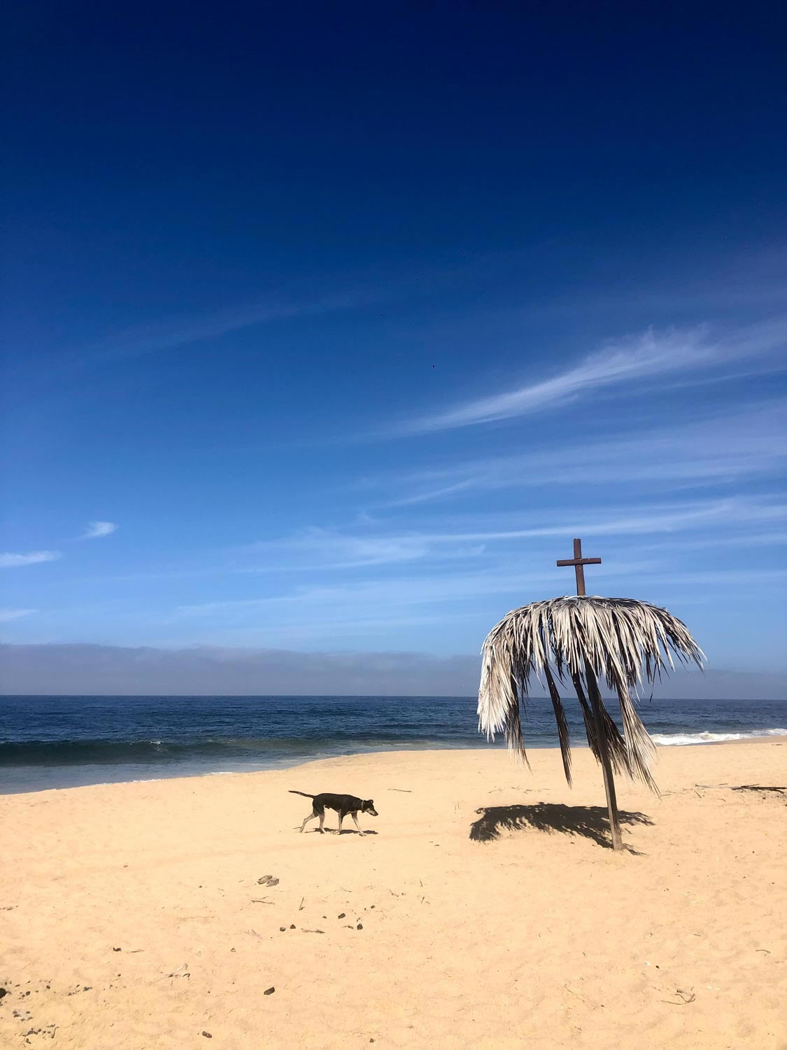 Beach art installation by our friend Art Maltby