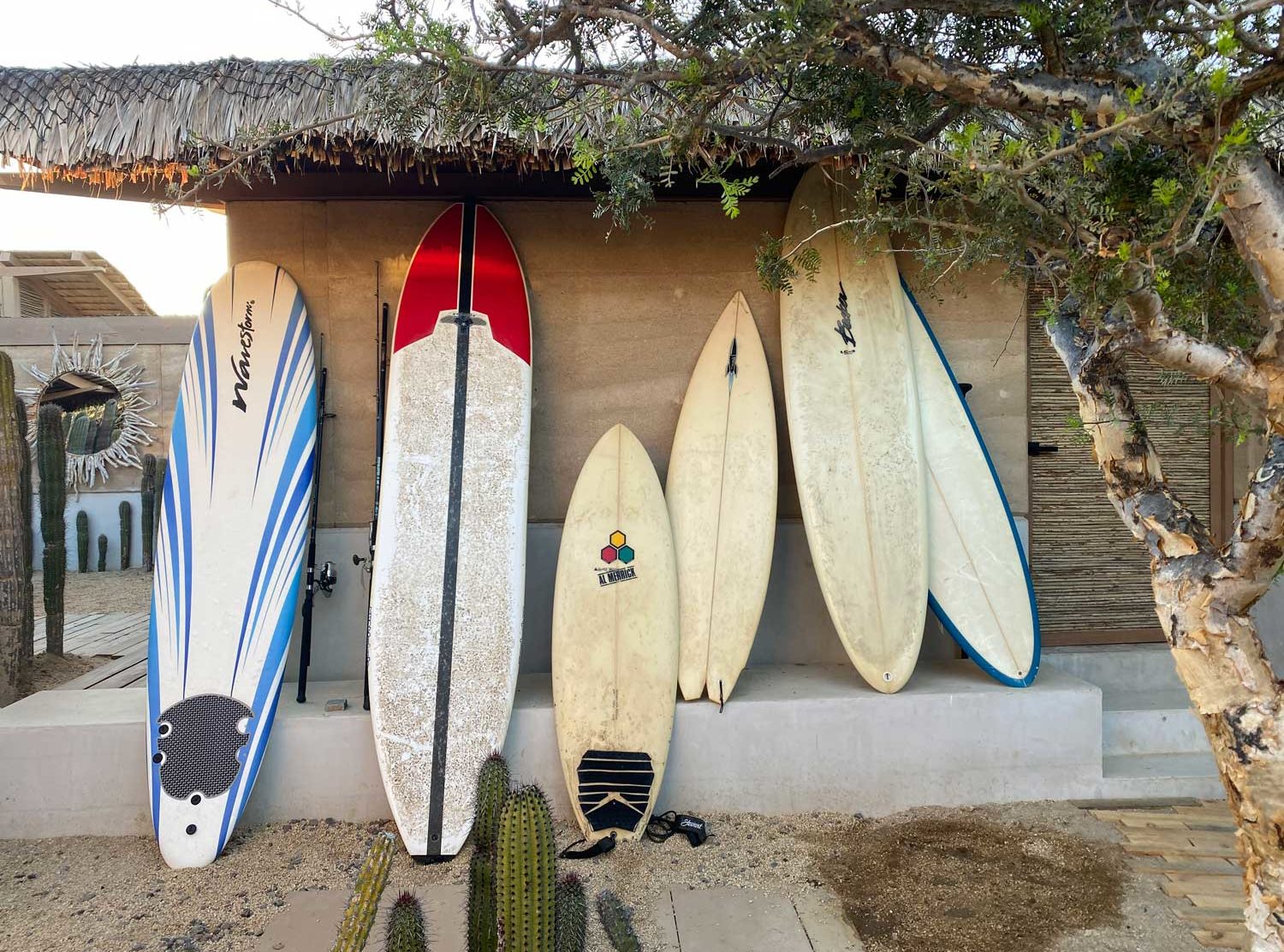 El Perdido Or grab a board and head to Cerritos beach