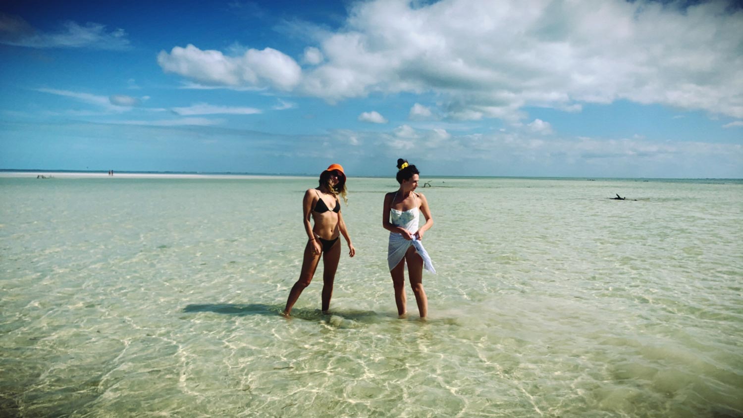 Punta Caliza Frolicking in the island shallows 