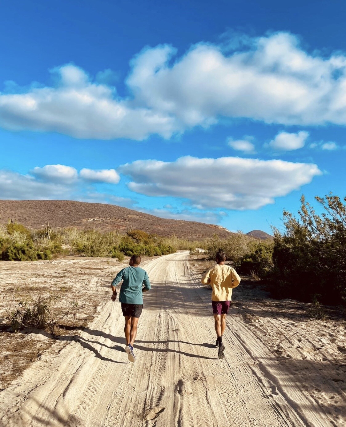 Ben Pundole Bouncy dusty perfect running trails