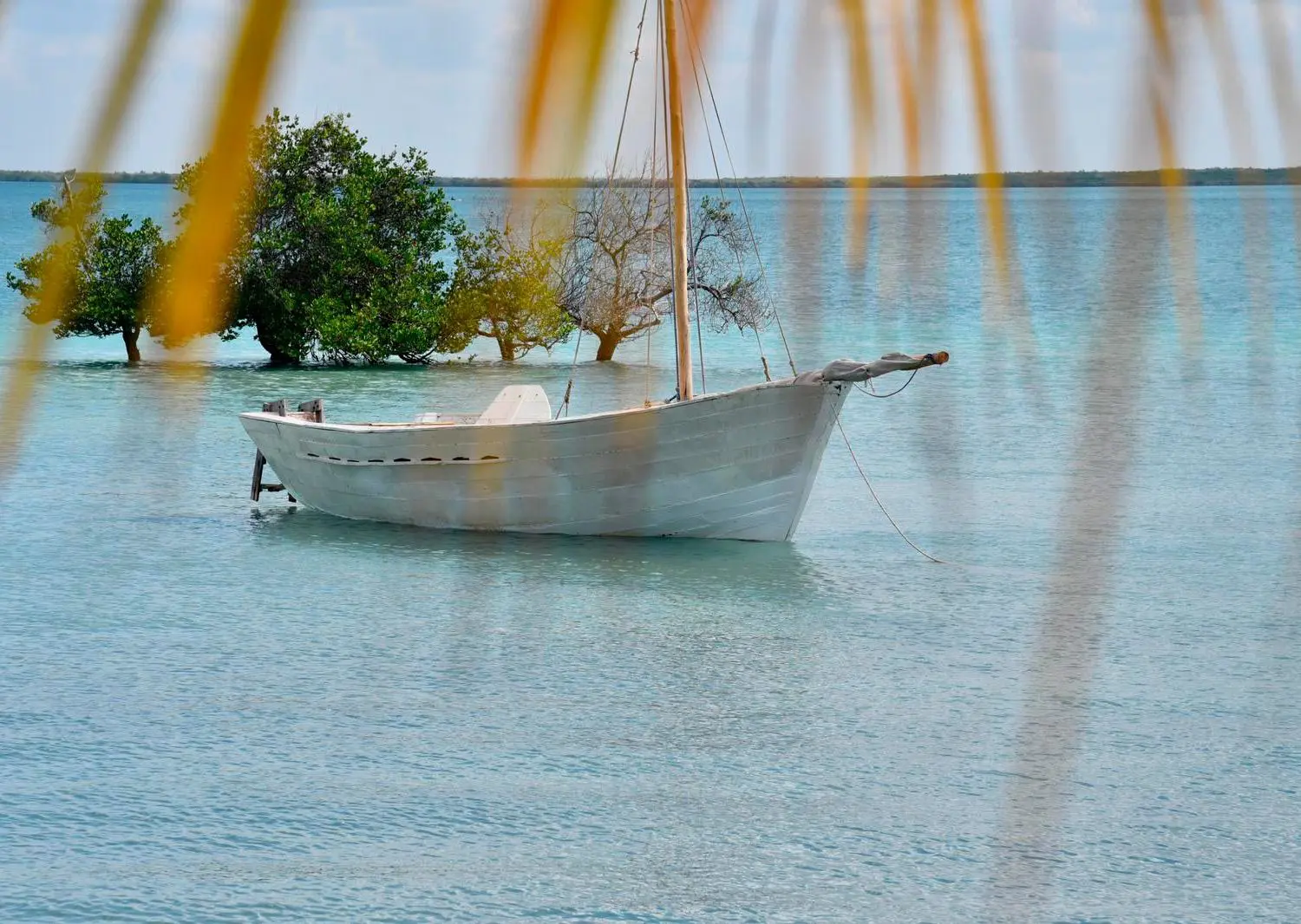 Sussurro The traditional dhow sail around the island is a must