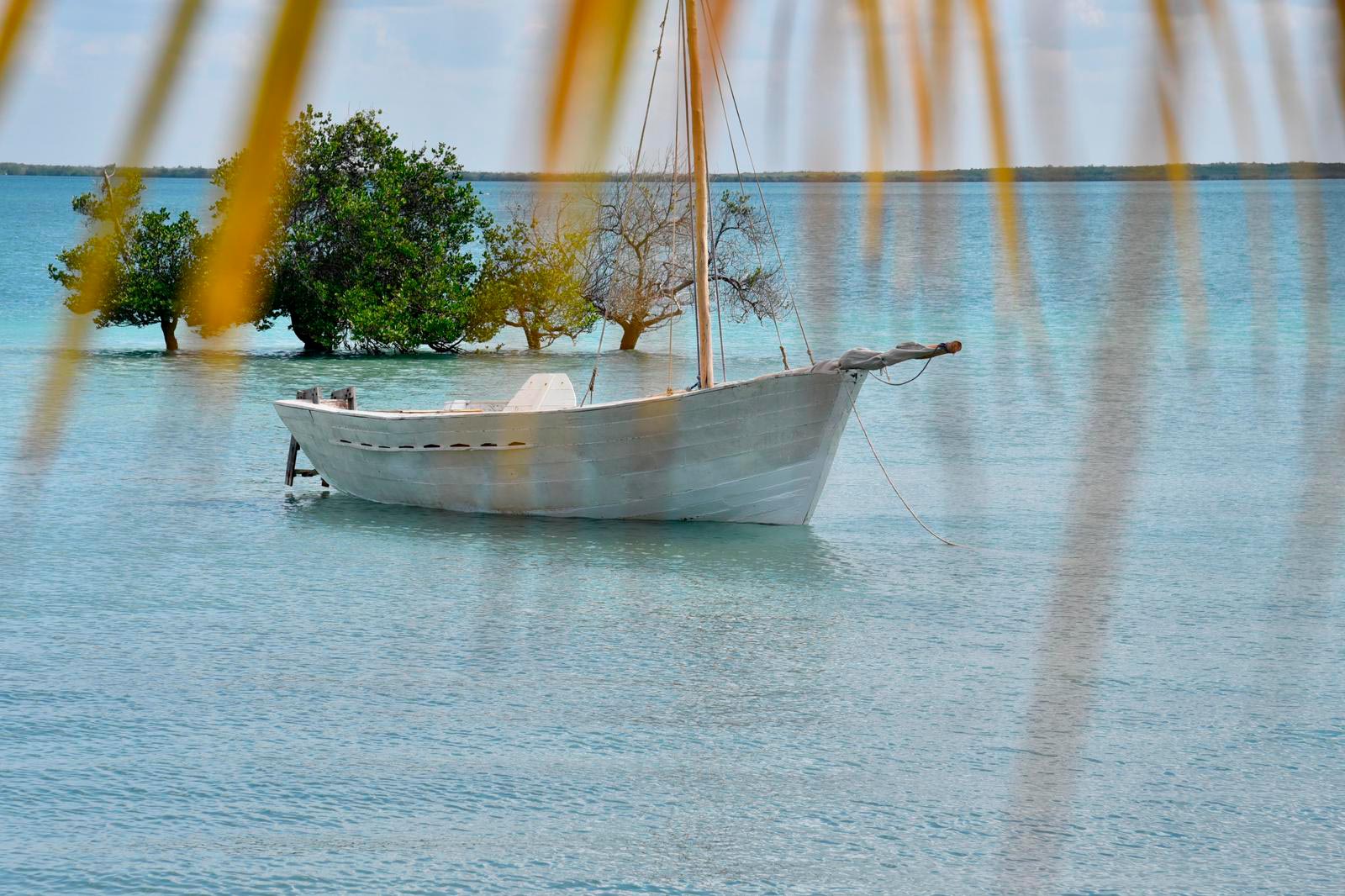 Dhow Safari-sail at sunset