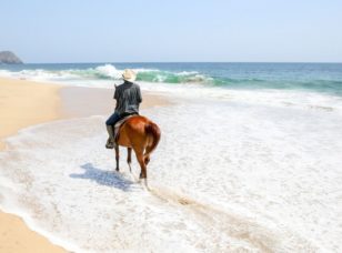 Horseback riding on the beach
