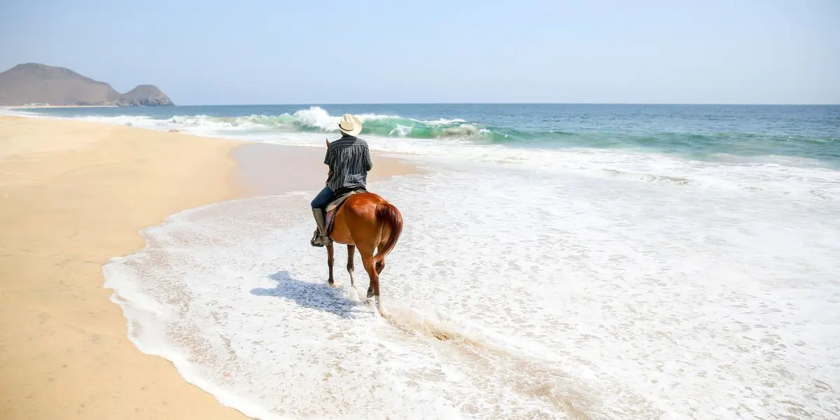 Horseback riding on the beach 