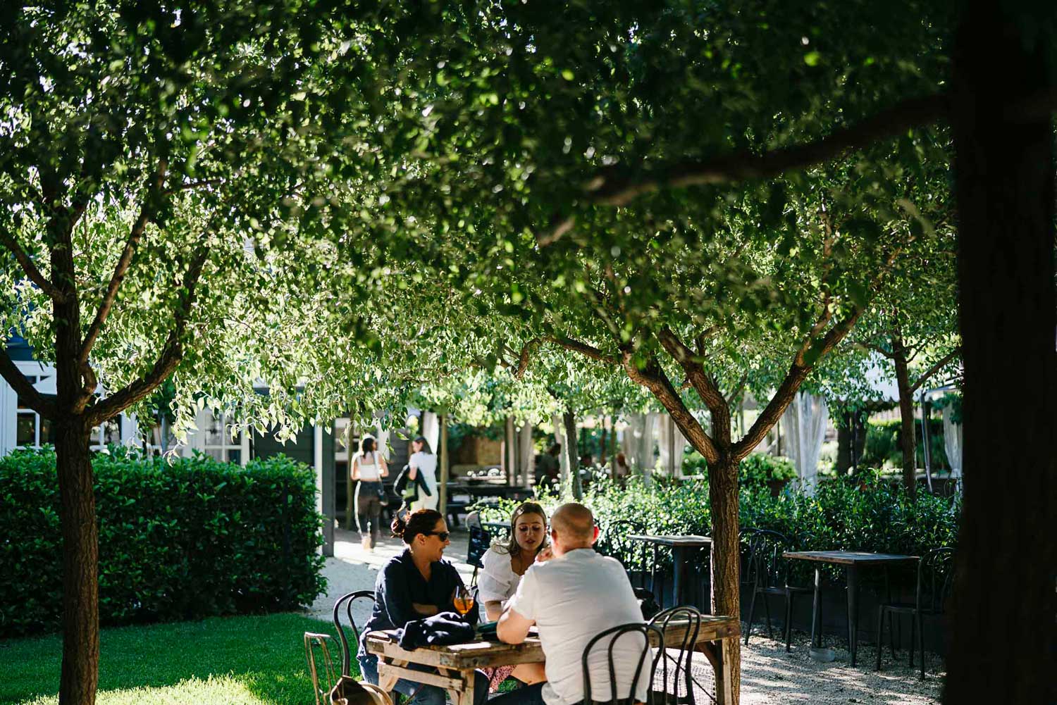 The Sir George Outdoor dinners and the green canopy