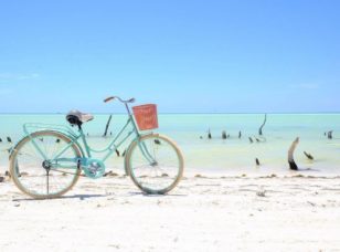 Rent a Bike