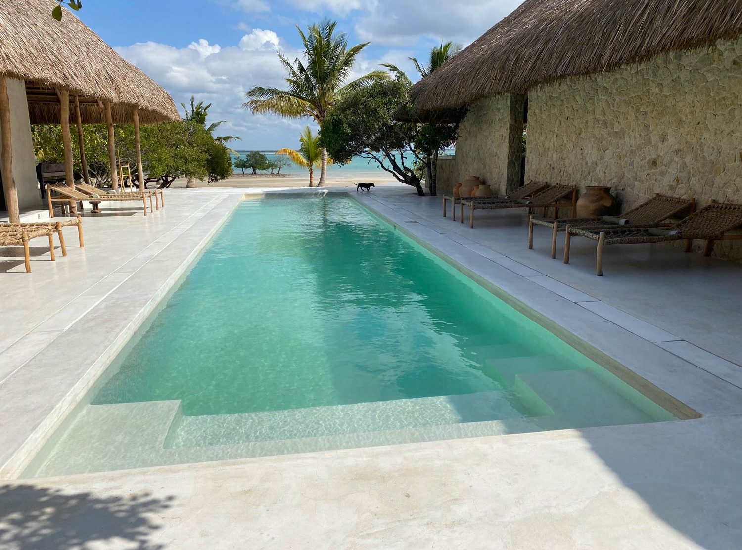 Sussurro Handwoven lounge chairs decorate the pool area — and a special appearance by His Majesty, Lucca