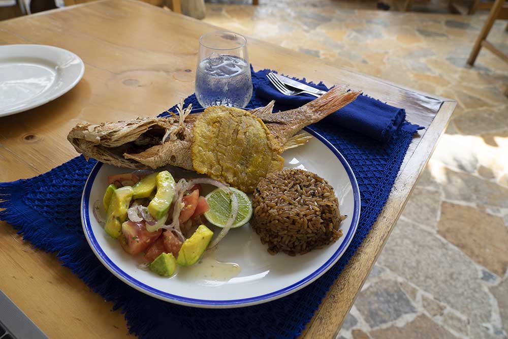 Blue Apple Beach A typical Cartagena dish: fried coconut rice, fried fish with patacón