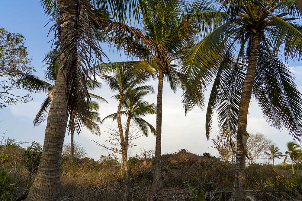 Blue Apple Beach The view when taking a walk around the island