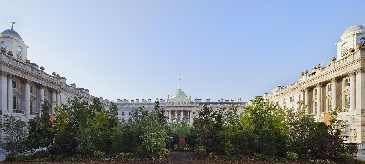 The Edmond J. Safra Fountain Court featuring Forest for Change — Image by Ed Reeve courtesy of Somerset House