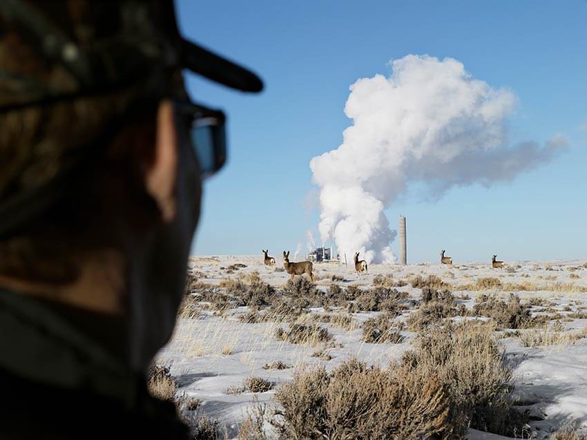 When Buying Affordable Art Is An Even Better Idea Hunter and Mule Deer by Naughton Power Plant by Lucas Foglia