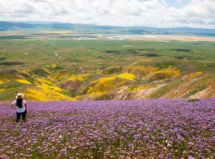 Carrizo Plain National Monument