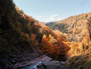 Hiking trails