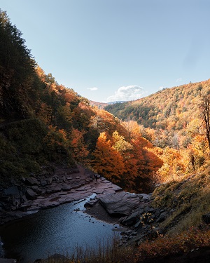 Hiking trails