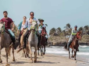 Island Tours