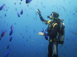 Scuba & Snorkel