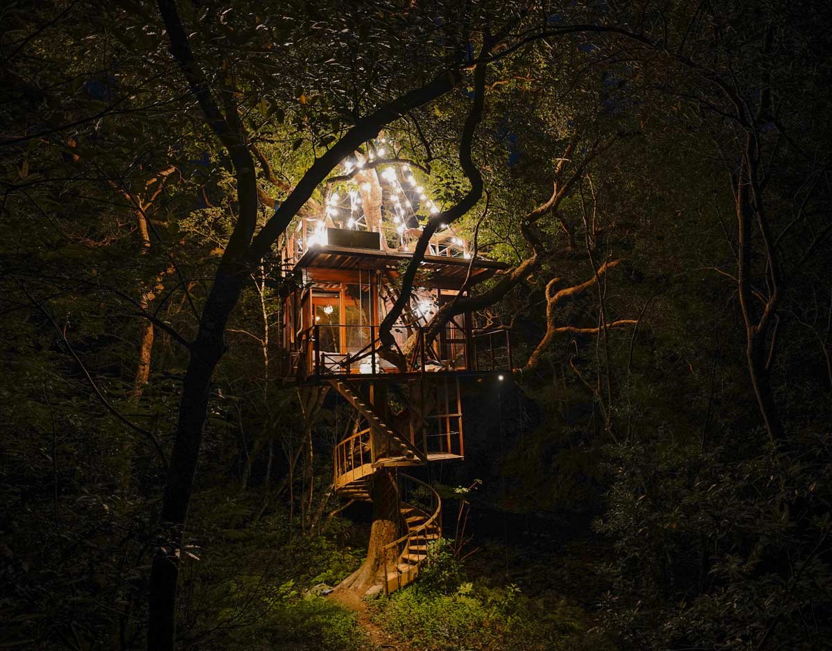 Nighttime at Treeful Treehouse