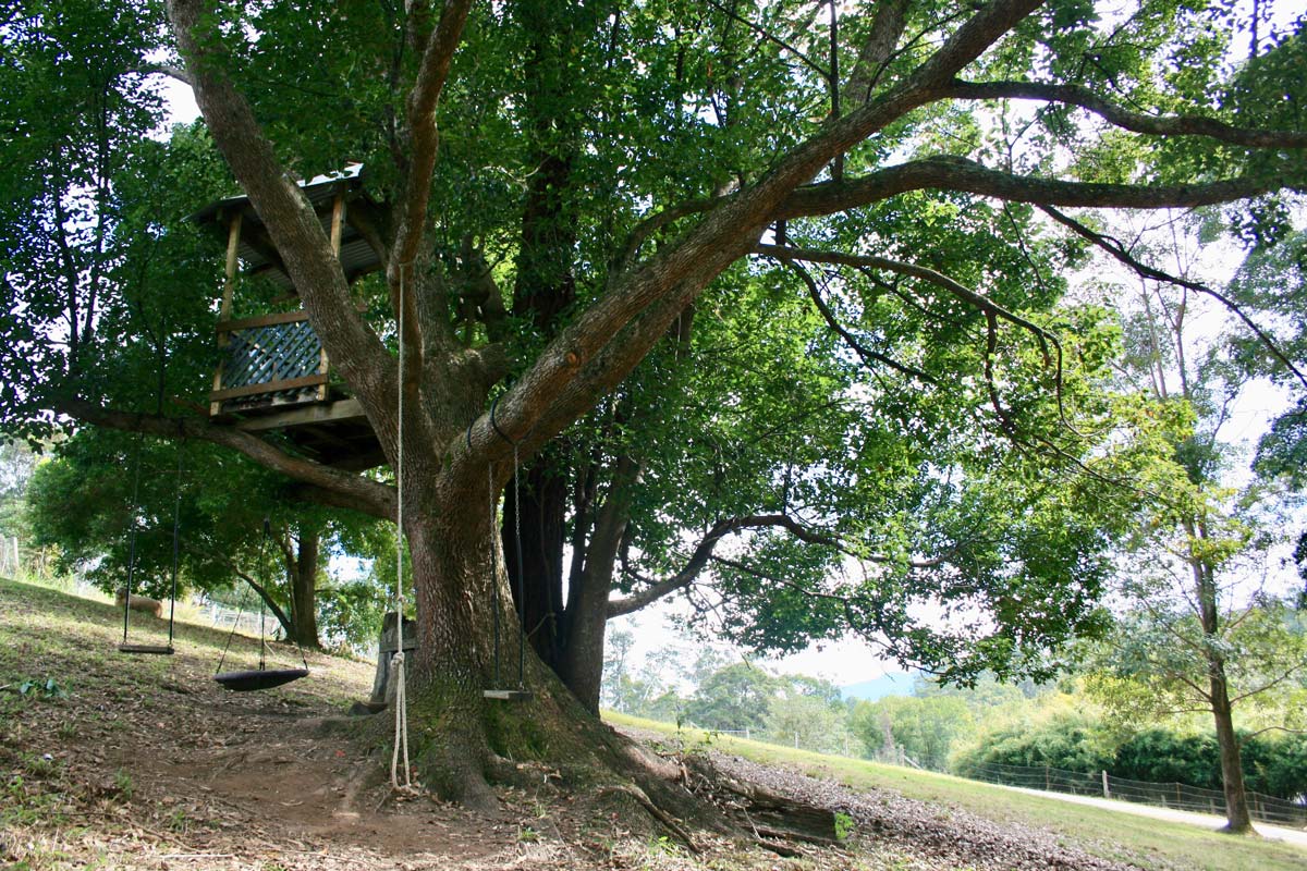 Weil House Living A hand built treehouse hidden in the grounds