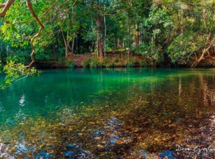 Never Never Creek