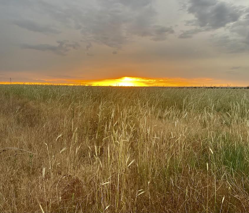 The Nebraska sun takes a much needed break