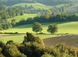 Newlands Corner
