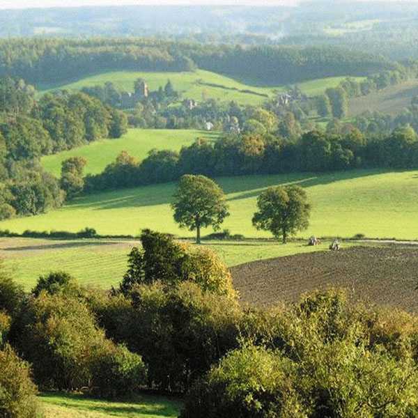 Newlands Corner