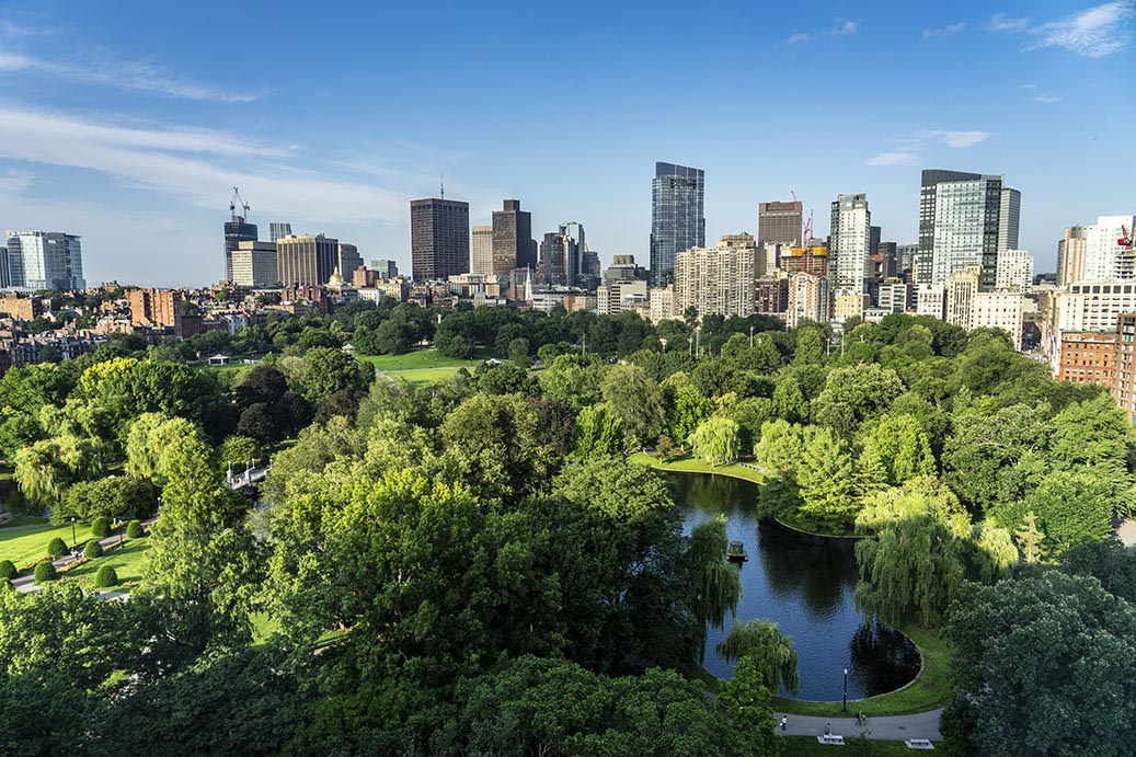 The Newbury Boston Wow — park views!