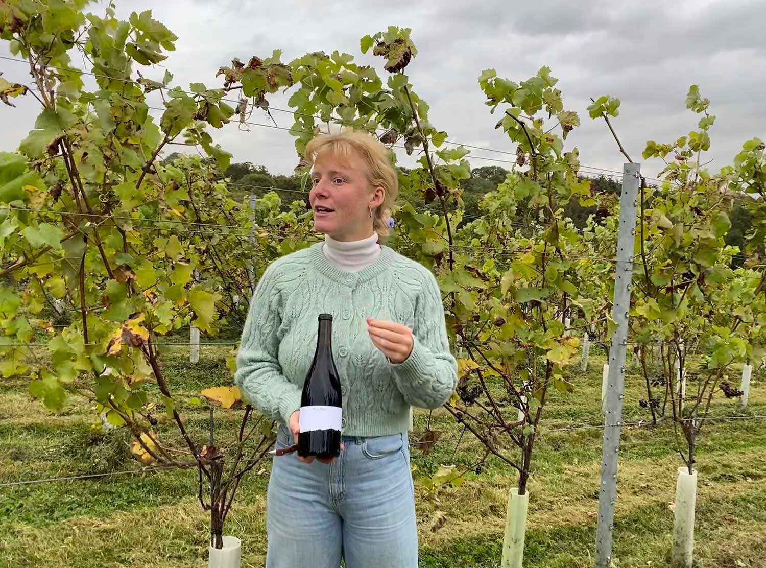Tillingham The wonderful Lucy showing us around the vineyards