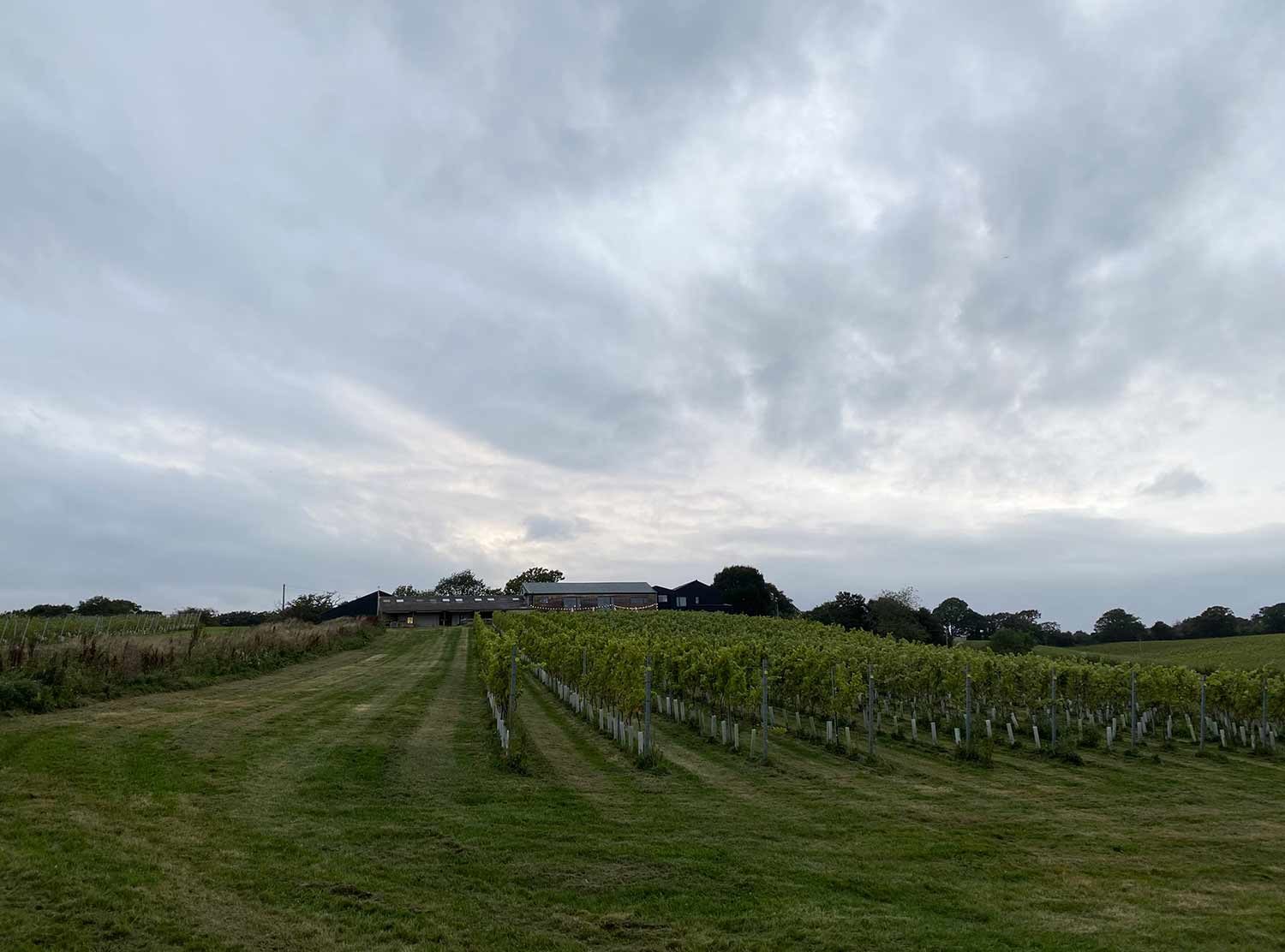 Tillingham A moment of calm 