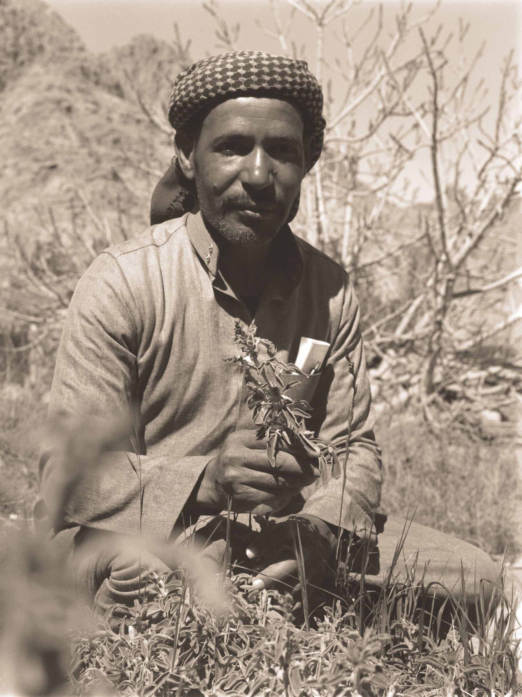 'Bedouin Herbalism' photographed by Nikki McClarron