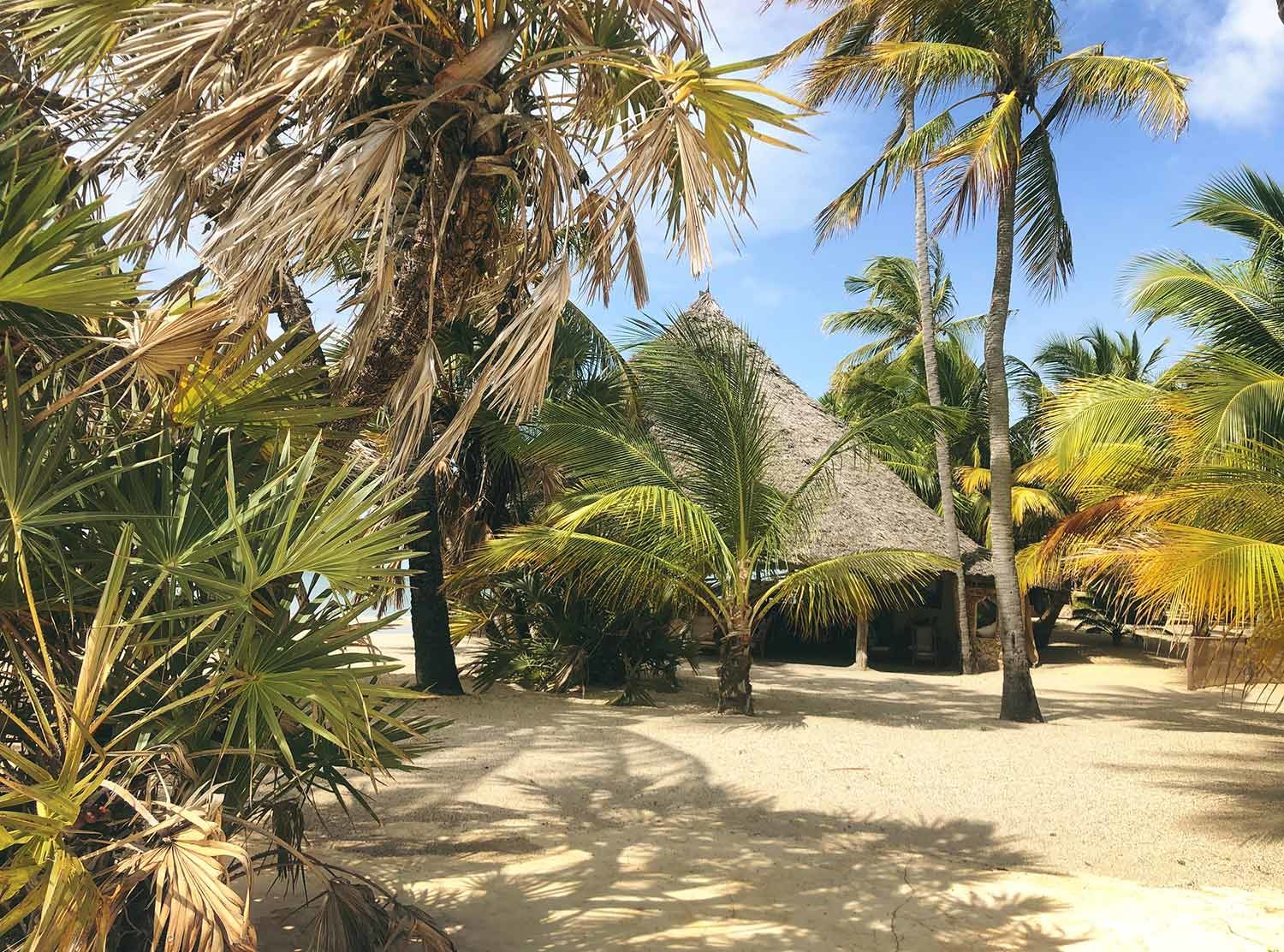 Manda Bay Resort It's the perfect setting with the palmtrees and white sandy beaches