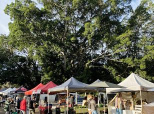 Mullumbimby Farmers Market
