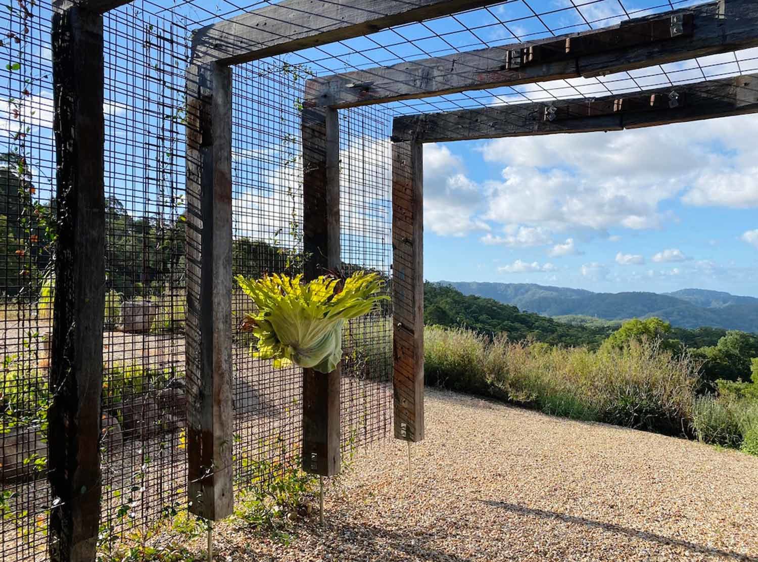 Blackbird Byron Another beautiful view from your pavilion out towards Mount Chincogan