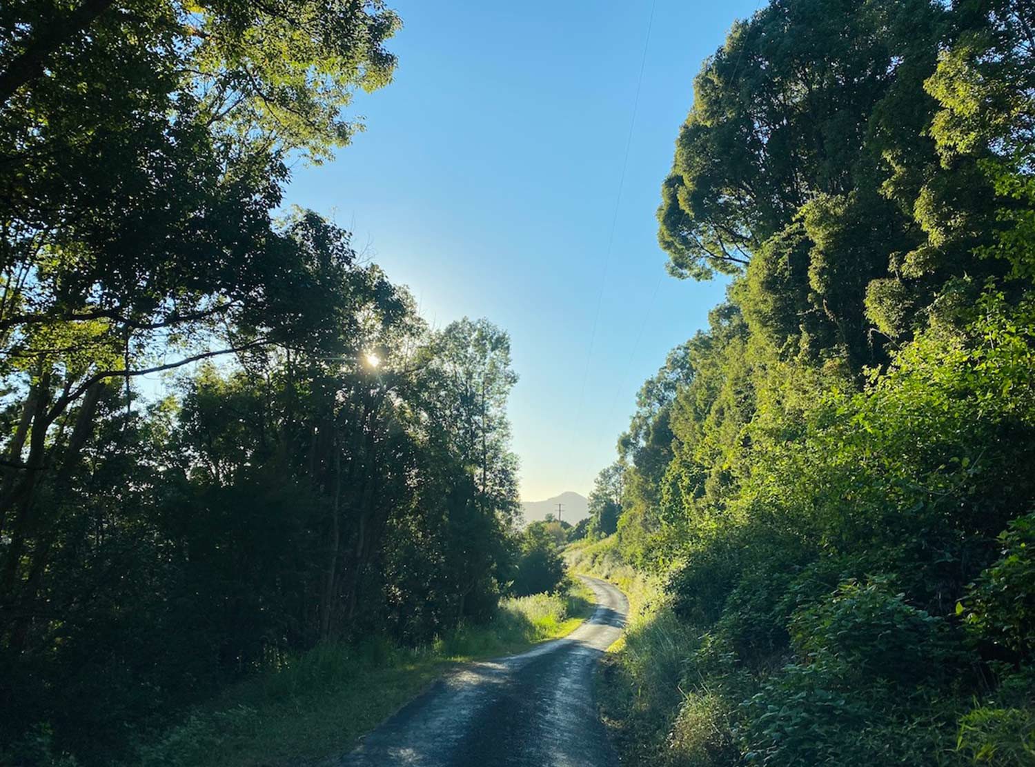 Blackbird Byron Getting to Blackbird Byron is just as beautiful as being there itself. The drive up the mountain is spectacular