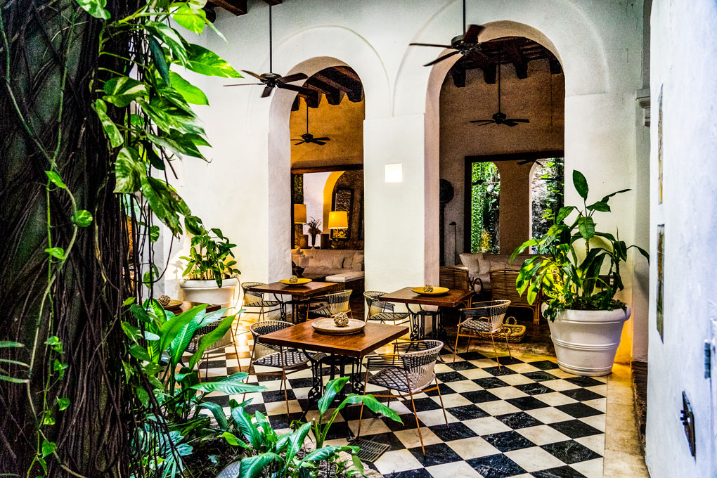 Amarla The romanticism of the courtyard restaurant will delight you! It's a timeless experience