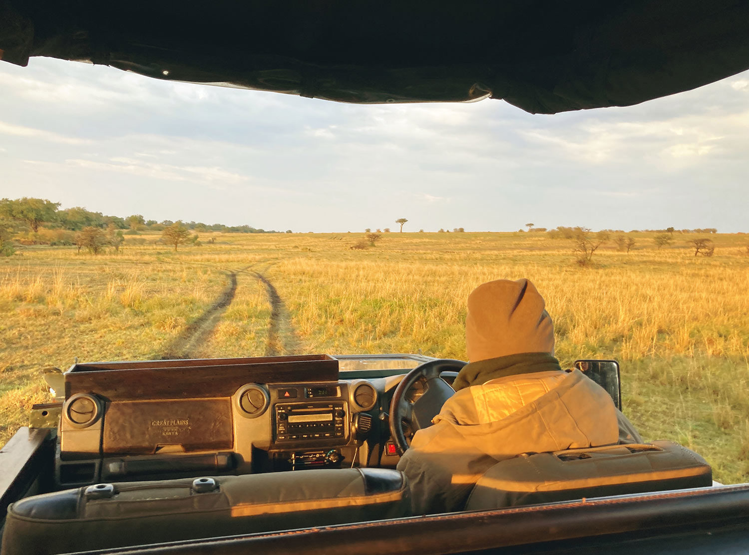 Mara Plains Camp Early morning game drive