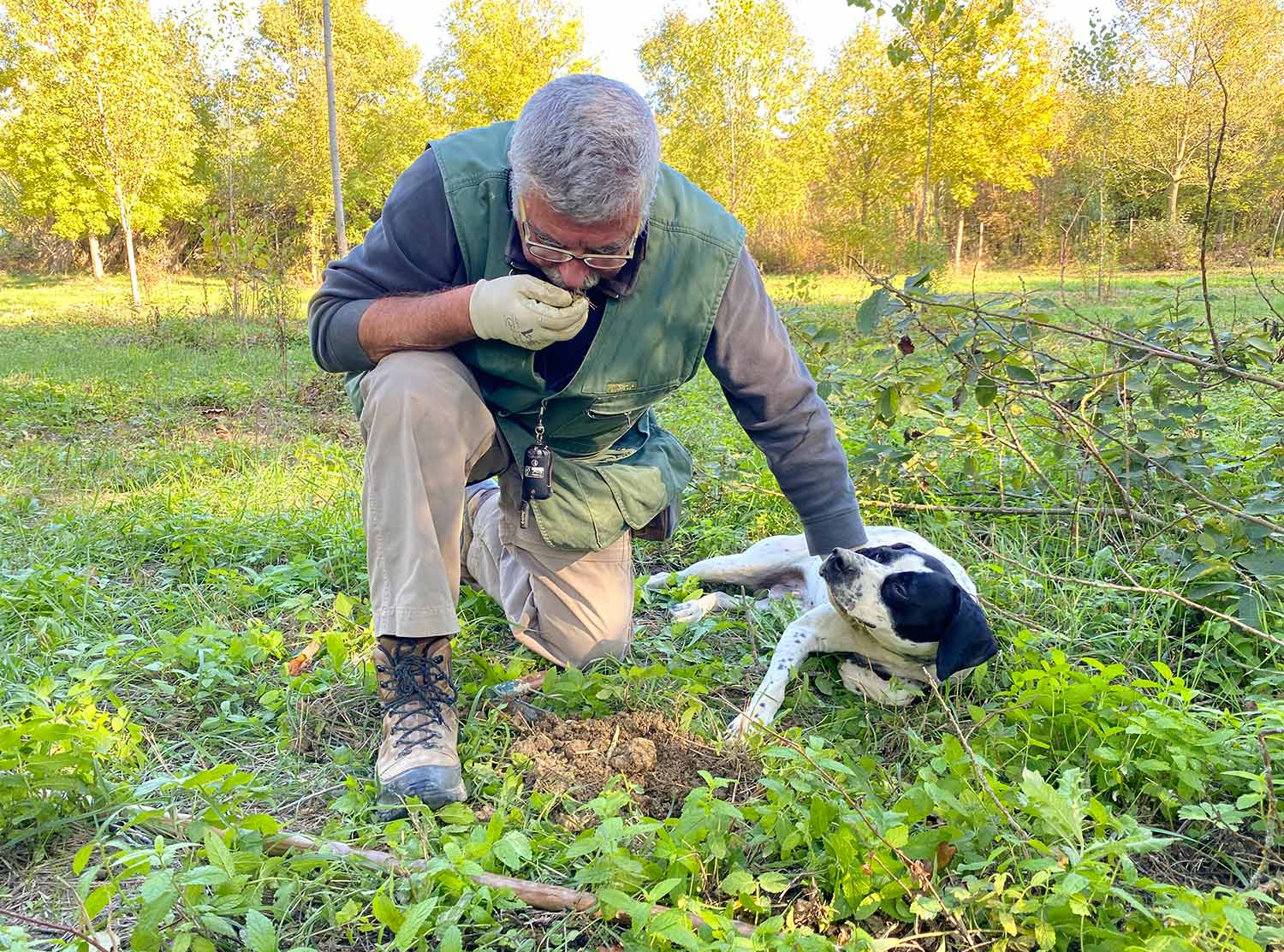 Giancarlo pushing Bill away to make sure he doesn't eat the truffle