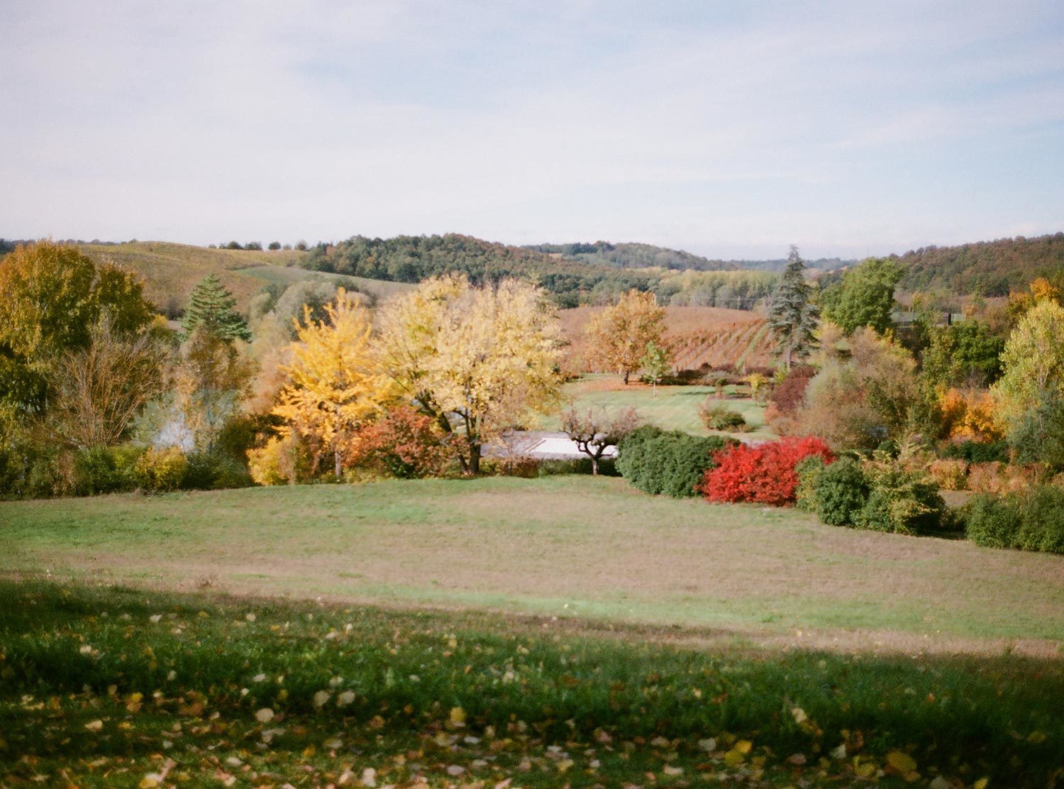 Locanda La Raia An ecosystem of its own, La Raia comprises of vineyards, chestnut and elderflower pastures, acacia woodlands and numerous species of wild animals