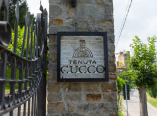 Roaming around Serralunga D'Alba (with red wine in hand)