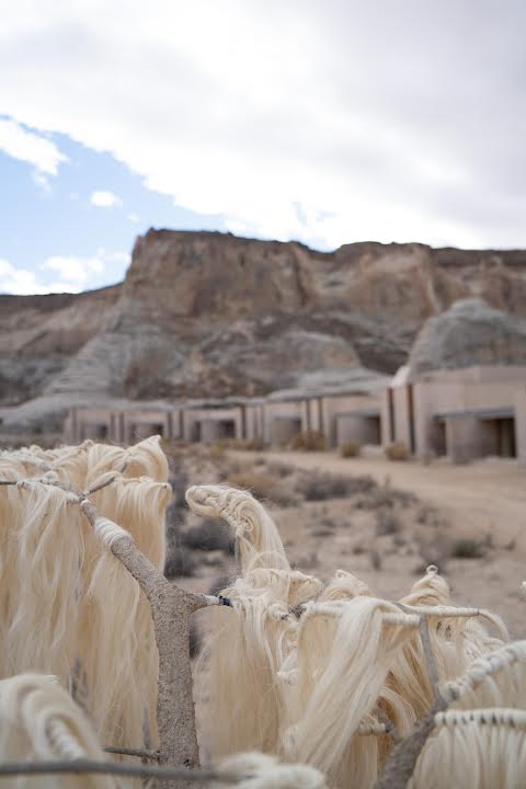 Raw, untreated Fique plant fiber make up the tree's