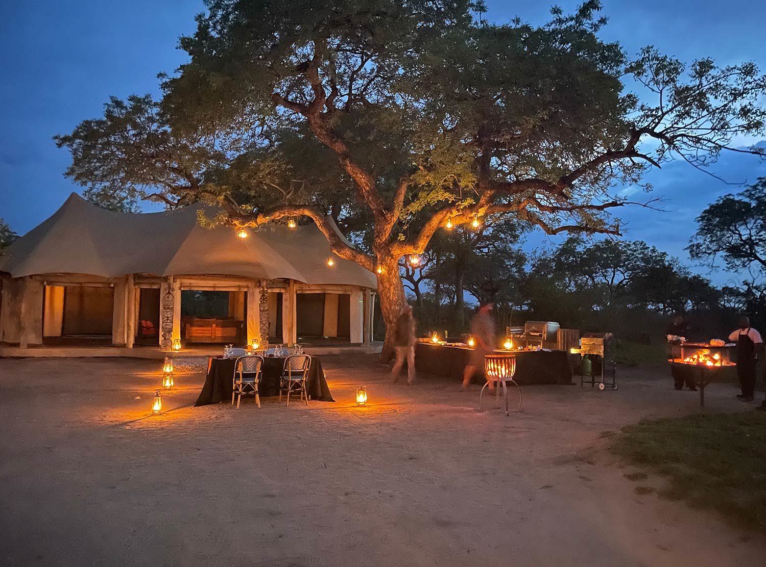 Royal Malewane Dinner in the bush, under the stars