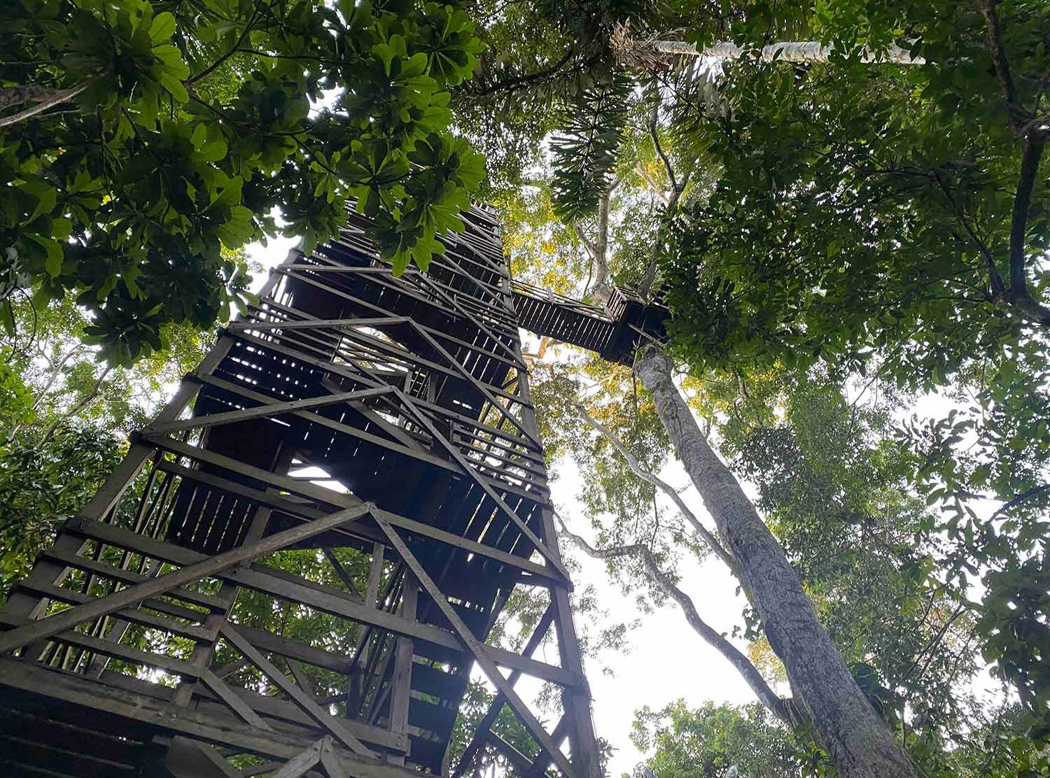Inkaterra Reserva Amazonica The 45 meter high observation platform — watch birds and wildlife from the top!