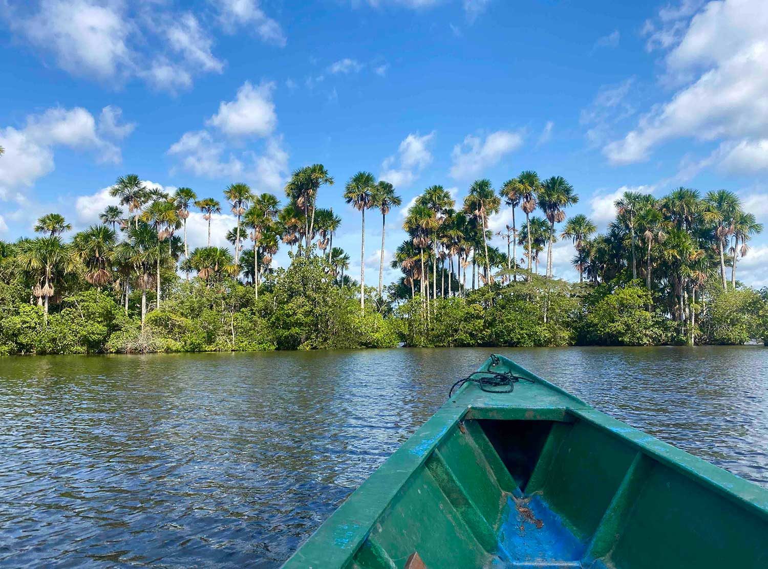 Inkaterra Reserva Amazonica Glide in a canoe across a beautiful mirror-like oxbow lake that is home to the endangered giant river otter, red howler monkeys, caimans, macaws, prehistoric hoatzins, point-tailed palmcreepers, turtles, and more