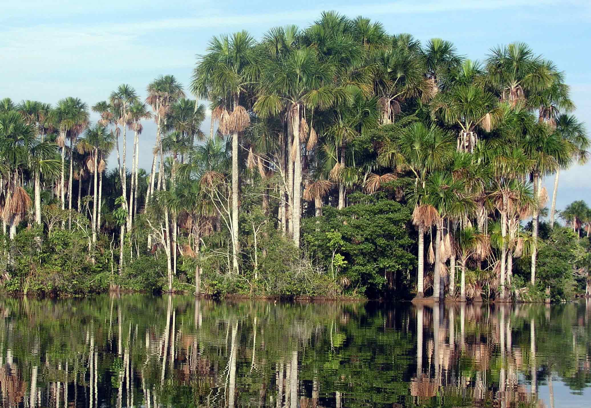 Lake Sandoval