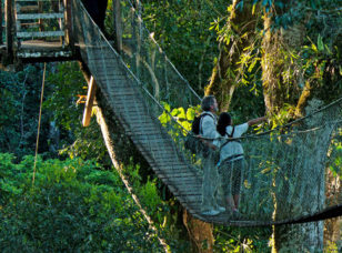 Canopy Walk by Inkaterra