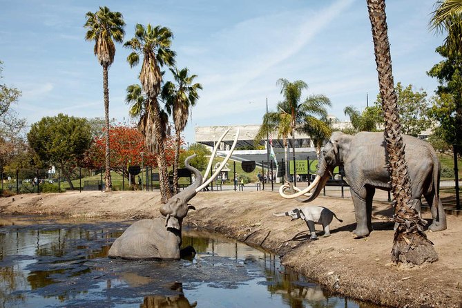 Tar Pits Museum